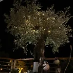 Olive Touch Apartment, Morska *