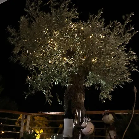 Olive Touch Apartment, Morska *